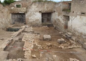 The castle in front of the castle: excavations at Schloss Neuenburg reveal high-status medieval remains