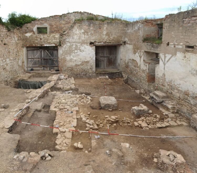 The castle in front of the castle: excavations at Schloss Neuenburg reveal high-status medieval remains