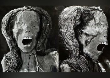 Mysterious "Screaming Woman" mummy suffered a painful death in ancient Egypt, study suggests