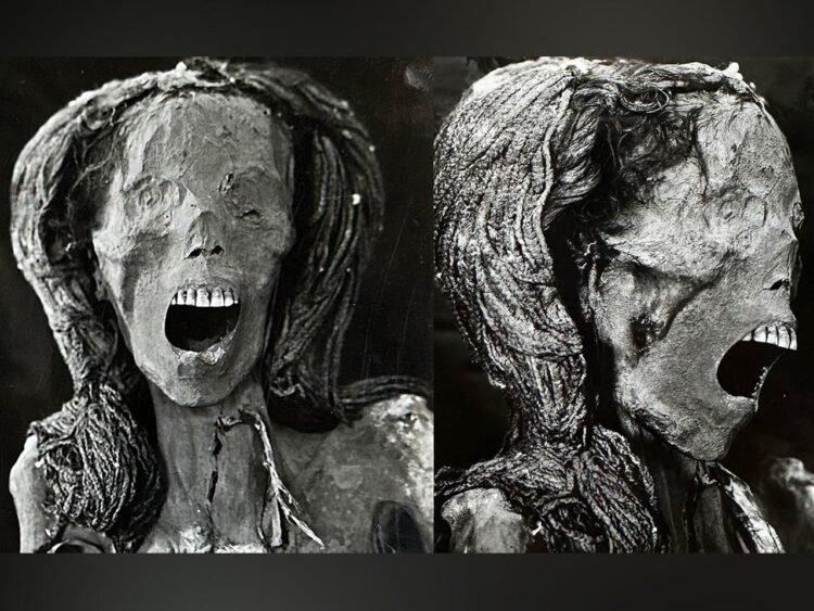 Mysterious "Screaming Woman" mummy suffered a painful death in ancient Egypt, study suggests