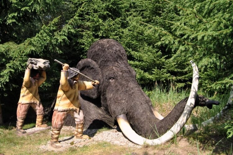 Neanderthals hunted and butchered straight-tusked elephants 125,000 years ago