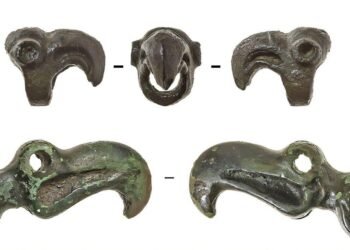 Origins of Scythian animal-style art began with functional objects, Tunnug 1 discovery reveals