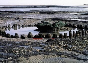 Study suggests 4,000-year-old Seahenge built to battle climate change