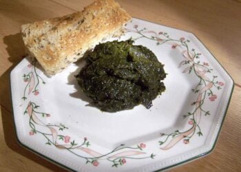 Seaweed and freshwater plants fed prehistoric Europeans, study finds