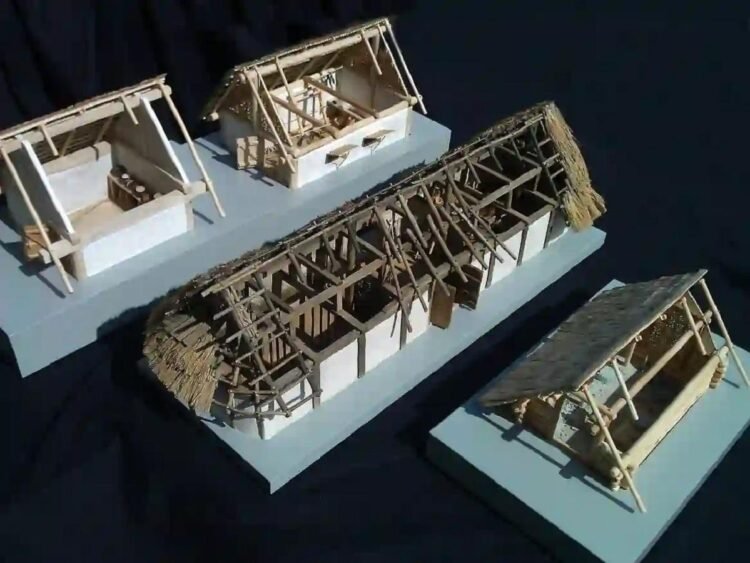 Ancient settlement with weaving workshop and longhouses uncovered in Germany gravel pit