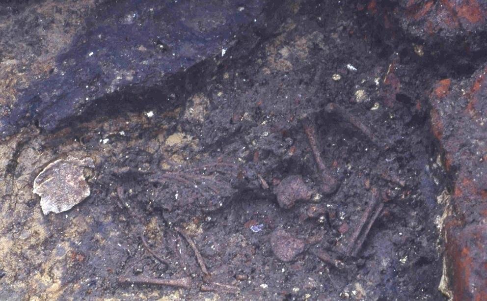 Sєx workers in medieval brothel: infant burial reveals unexpected maternal care