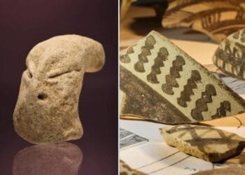Archaeological mission unearths 7,700-year-old shell crafting site in Kuwait