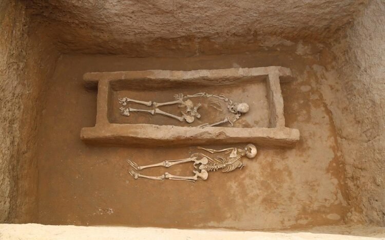 Ancient DNA from Shimao’s male skulls overturns assumptions about Neolithic rites