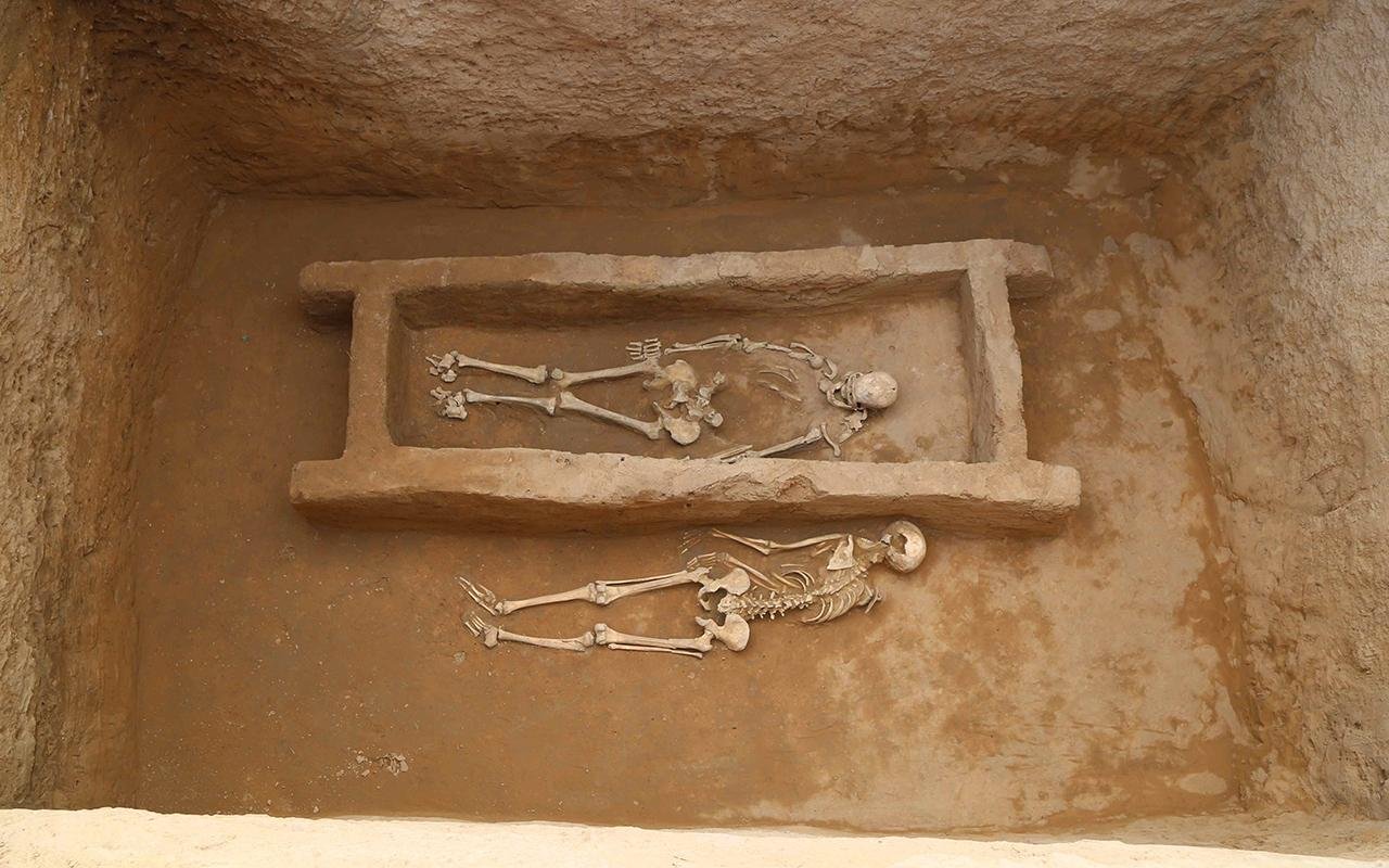 Ancient DNA from Shimao’s male skulls overturns assumptions about Neolithic rites