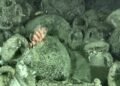 Ancient shipwreck with 300 amphorae found off Italy could reshape views of Mediterranean wine trade