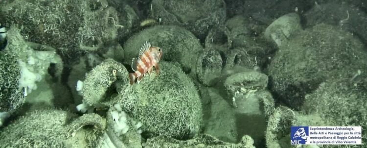 Ancient shipwreck with 300 amphorae found off Italy could reshape views of Mediterranean wine trade