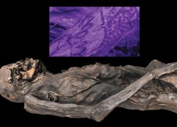 2,500-year-old Siberian mummy’s tattoos reveal Iron Age artistry and ancient techniques