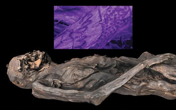 2,500-year-old Siberian mummy’s tattoos reveal Iron Age artistry and ancient techniques