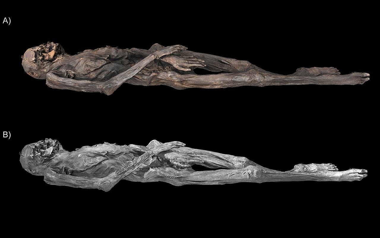 2,500-year-old Siberian mummy’s tattoos reveal Iron Age artistry and ancient techniques
