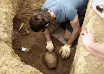 Six Roman pots unearthed by University of Leicester student in Chester House Estate dig