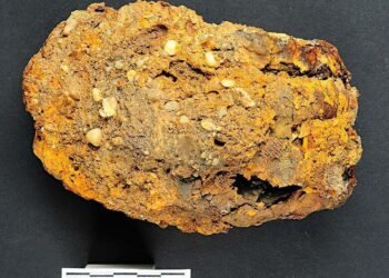 Archaeologists found a medieval skeleton with an iron prosthetic hand in Germany