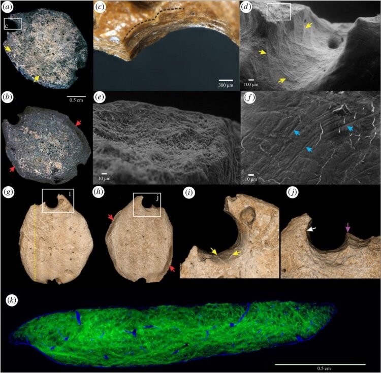 Giant sloth pendants indicate earlier human presence in Americas