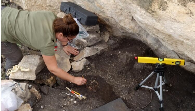 Stone Age European hunter-gatherers reached North Africa by boat ...