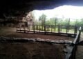 Stone Age humans built complex grass beds at Border Cave 200,000 years ago, study finds