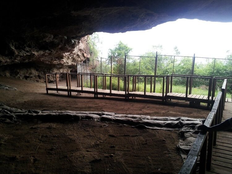 Stone Age humans built complex grass beds at Border Cave 200,000 years ago, study finds