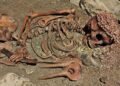 Stone Age teen buried in Italy died after bear attack 28,000 years ago, new forensic study finds