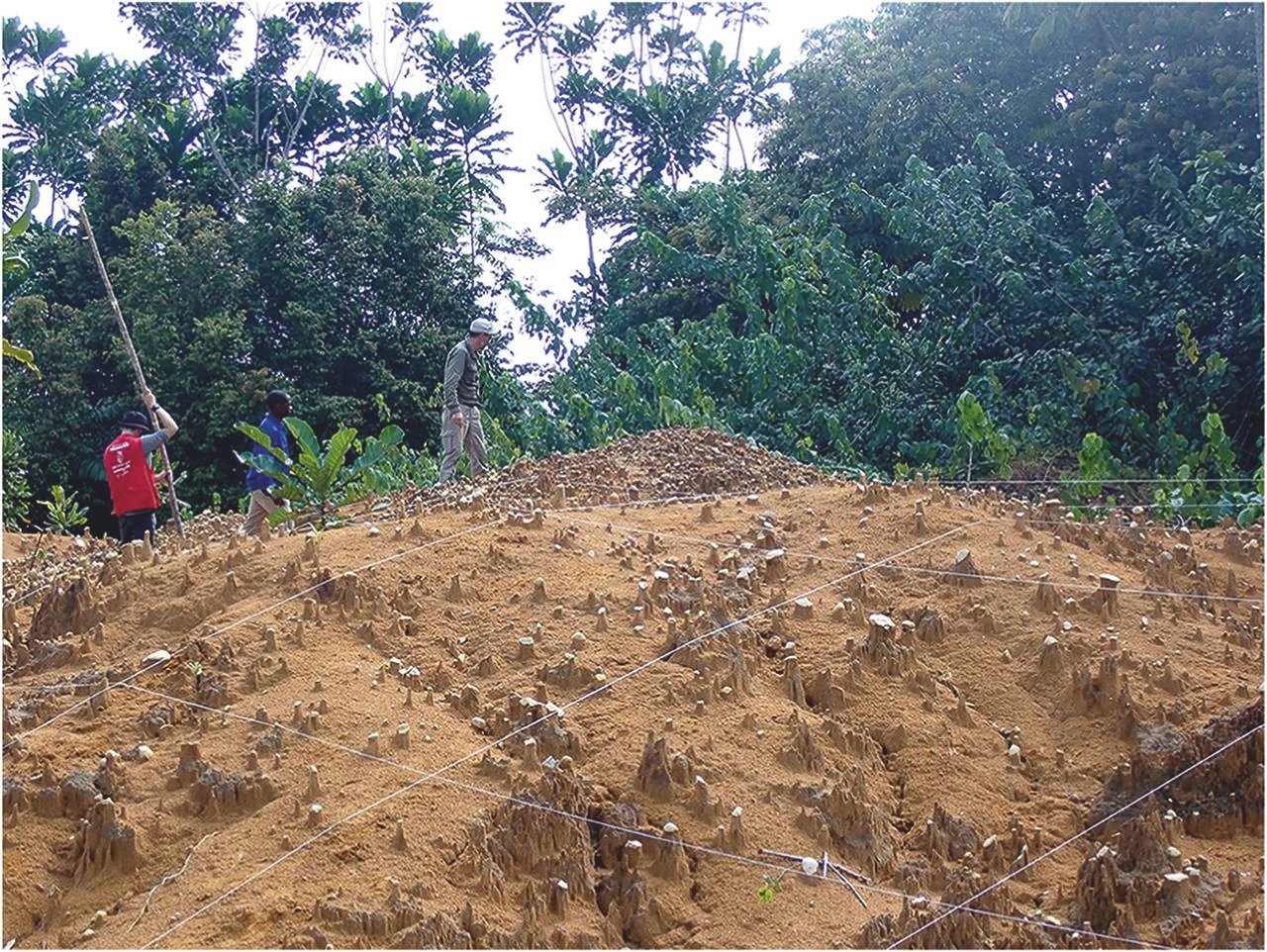 40,000-year-old stone tools uncover early human adaption to Rainforest environments in Equatorial Guinea