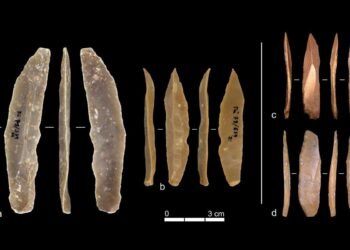 Ancient stone tools show Europe’s early humans innovated independently from the Near East 42,000 years ago
