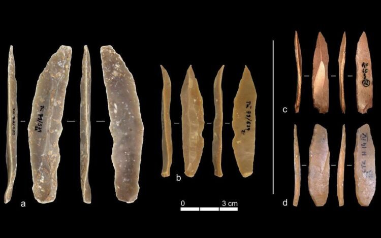 Ancient stone tools show Europe’s early humans innovated independently from the Near East 42,000 years ago