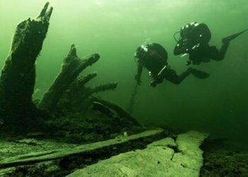 Sunken medieval warship Gribshunden continues to offer up its secrets