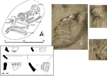 6,000-year-old skeleton reveals survival after a violent lion attack in ancient Bulgaria
