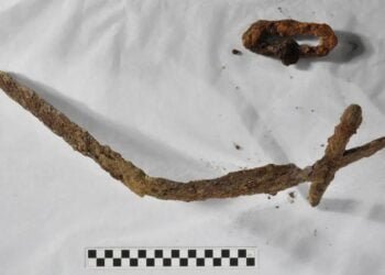 1,000-year-old Swedish crusade sword and cemetery unearthed in Finland