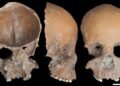 Systematic human bone modification discovered in Neolithic Liangzhu civilization in China