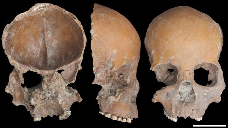 Systematic human bone modification discovered in Neolithic Liangzhu civilization in China