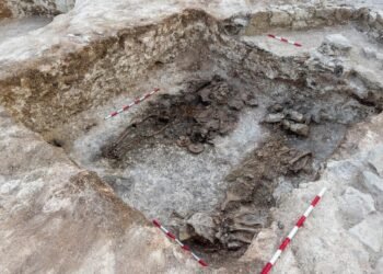 Hellenistic-era Thracian warrior tomb unearthed in southern Bulgaria (The 2nd-century BCE burial of a Thracian warrior and his horse. Credit: Municipality of Topolovgrad)