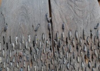 Archaeologists uncover evidence of threshing sledges in Neolithic Greece