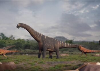 Researchers uncover 92 fossil nests belonging to India's largest dinosaurs