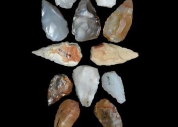 Archaeological discovery in Ethiopia reveals human survival following Toba supervolcano eruption 74,000 years ago