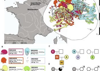 4,500-year-old tomb in France reveals the genetic legacy of steppe nomads in modern europeans