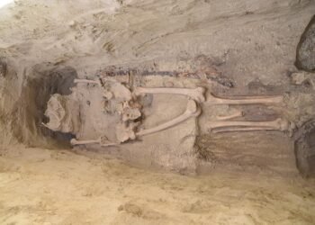 1,300-year-old tomb of Avar warrior unearthed in Hungary reveals rare sabre and treasures