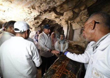 Ancient Egyptian tombs, painted coffins, and cat mummies unearthed in Luxor necropolis