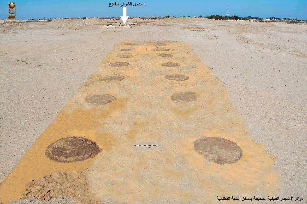 Hidden fort, tree-lined road, and moat uncovered at ancient Egyptian fortress in the Sinai Desert
