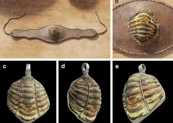 Rare trilobite fossil amulet unearthed at Roman site in Spain reveals unique ancient beliefs