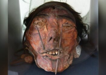 First known Andean trophy head with a cleft lip from southern Peru
