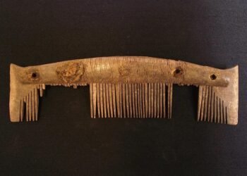Trove of Viking combs reveal Ipswich's medieval significance