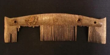 Trove of Viking combs reveal Ipswich's medieval significance