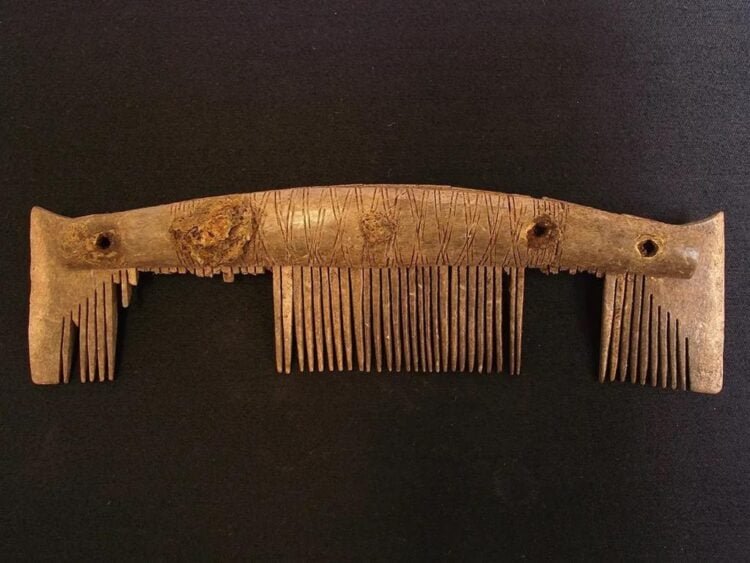 Trove of Viking combs reveal Ipswich's medieval significance