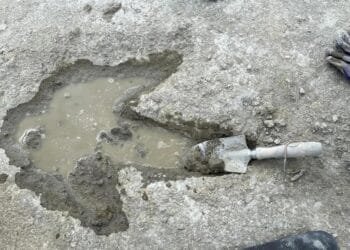UK's largest dinosaur footprint site unearthed in Oxfordshire quarry