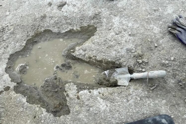 UK's largest dinosaur footprint site unearthed in Oxfordshire quarry