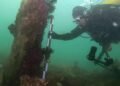 Huge ancient undersea wall dating to 5800 BCE discovered off the French coast