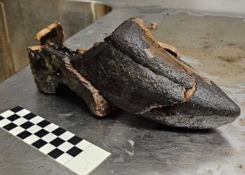 Unique 15th-century wooden clog unearthed in Dutch cesspit